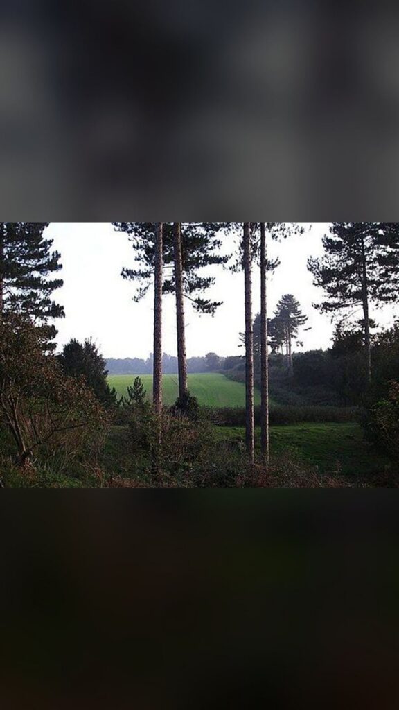 Rendlesham Forest incident - Wikipedia