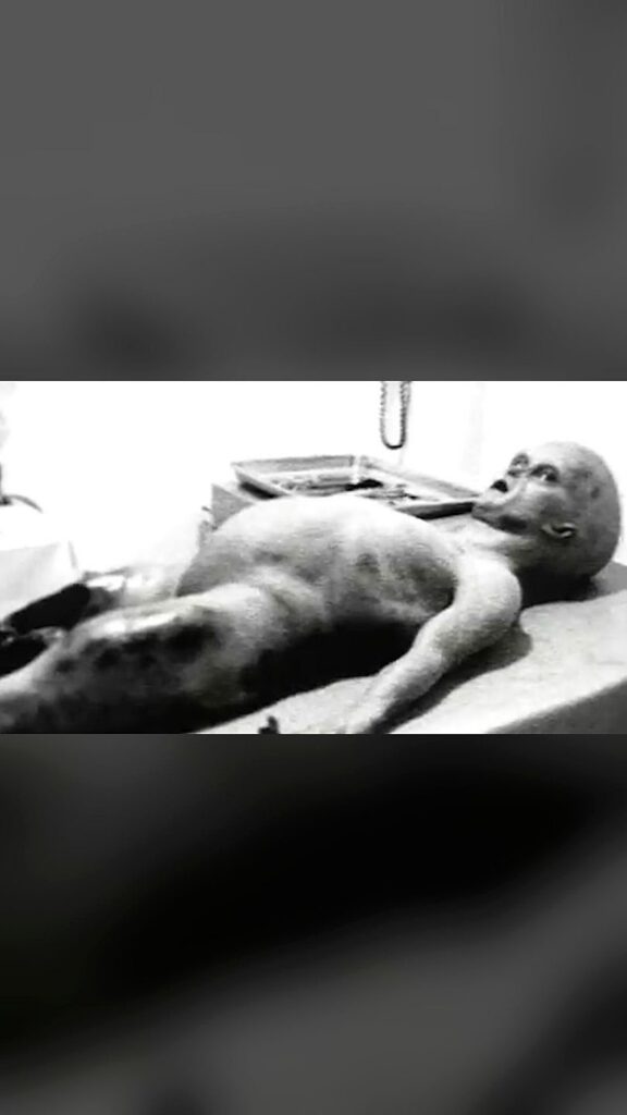 En 1947 un OVNI cayó en Roswell, en 1995 la autopsia de uno de los tripulantes de la nave llegó a todas las pantallas del planeta. Tras una década de silencio, Spyros Melaris, director del "mejor fraude fílmico jamás realizado", reveló cómo se construyó el engaño